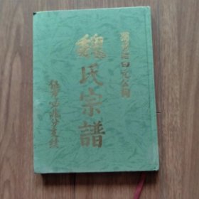 蜀资阳曰元公祠魏氏宗谱（伍市必兆分支续）（四川资阳）（族谱、宗谱、家谱类）