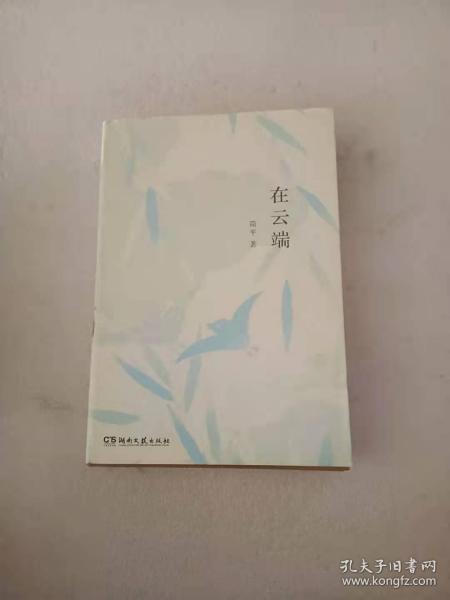 在云端（知名影视剧制片人、儿童文学作家患癌期间的生活故事，有关绝望与坚持，失去与得到）