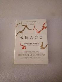 极简人类史：从宇宙大爆炸到21世纪