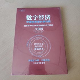 数字经济：中国创新增长新动能