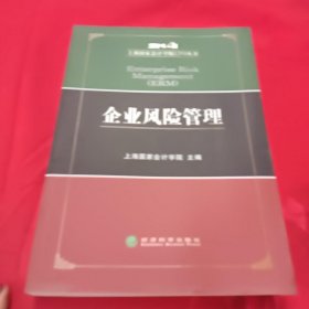上海国家会计学院CFO丛书：企业风险管理