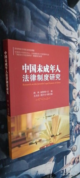 中国未成年人法律制度研究 