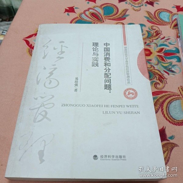 中国消费和分配问题:理论与实践