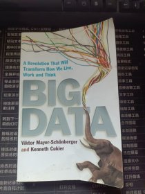 Big Data: A Revolution That Will Transform How We Live, Work and Think大数据时代 英文原版