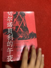 切尔诺贝利的午夜（《纽约时报》《时代周刊》年度图书）