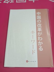 中国改革开放关键词（日文版）