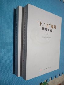 “十二五”规划战略研究（上下）.