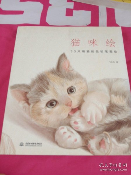 猫咪绘：33只萌猫的色铅笔图绘