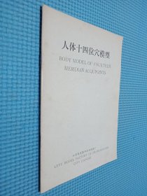 人体十四位穴模型、标准针灸穴位模型 2本合售