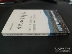 中国知青部落（修订版  修订本）知青血泪史，中国知青。郭小东