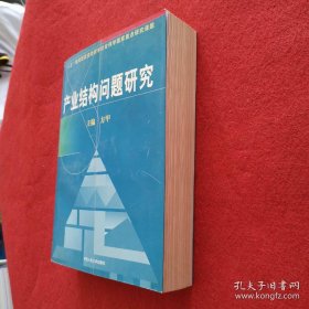 产业结构问题研究 主编：方甲 内页干净近十品 9787300023700