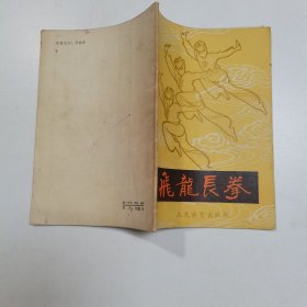 飞龙长拳