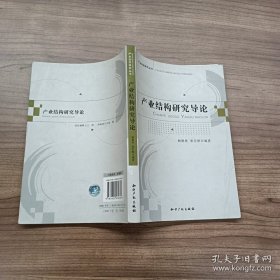 产业结构研究导论