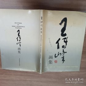 王传峰画集