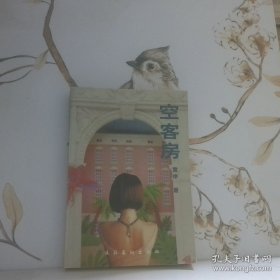 空客房 雪岸董瑞丽 文化艺术出版社 9787503917080