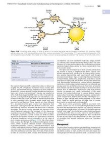 Massachusetts General Hospital Psychopharmacology and Neurotherapeutics