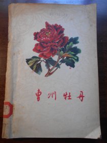 1959年【曹州牡丹】喻衡    著，  山东人民出版社