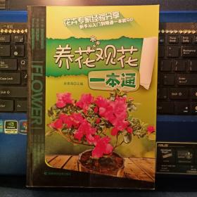 养花观花一本通