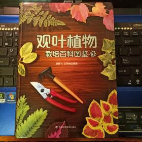 观叶植物栽培百科图鉴