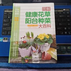 图解健康花草阳台种菜大百科