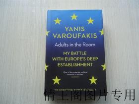 Adults in the Room：My Battle With Europe’s Deep Establishment（英文原版 · 小16开精装本带护封）