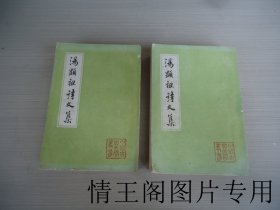 中国古典文学丛书：汤显祖诗文集（上下 · 全二册 · 大32开平装本 · 1982年6月一版一印）