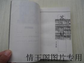 历代名家及名作丛书：苏轼及其作品选（一版一印）