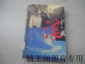 浪:一个“叛国者”的人生传奇