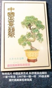 卖家低价惠让藏友！老明信片 【 中国盆景艺术---优秀作品集锦（一）】请注意图片及说明。