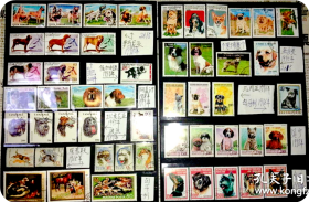 50枚各国观赏犬专题邮票，部分成套票面精美，图案各异 ，无重复！部分展示，非所有全品。