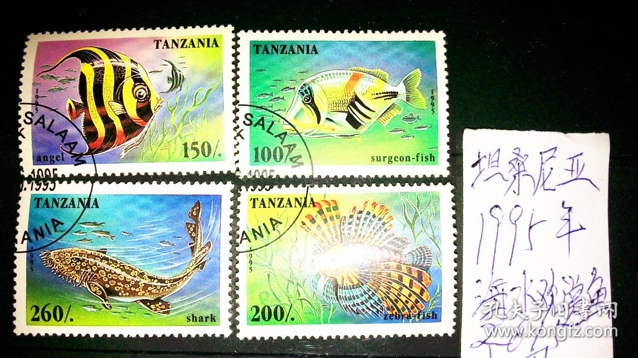 50枚外国观赏鱼类邮票，票面精美，无重复！