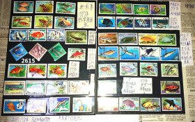 50枚外国观赏鱼专题邮票，票面精美，无重复！