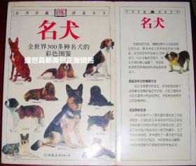 名犬   全世界300多种名犬的彩色图鉴