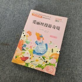 爱丽丝漫游奇境