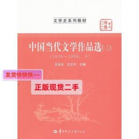 中国当代文学作品选（三）（1976-1999下）