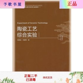 陶瓷工艺综合实验（高等学校专业教材）