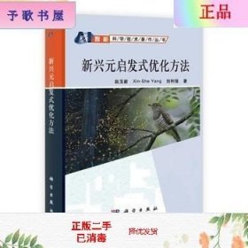 智能科学技术著作丛书：新兴元启发式优化方法