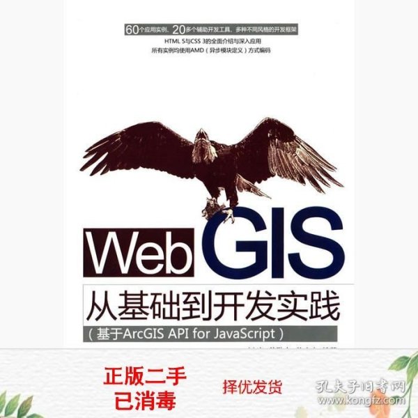 Web GIS从基础到开发实践：基于ArcGIS API for JavaScript