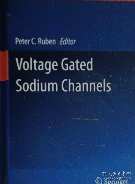 英文原版 Voltage Gated Sodium Channels