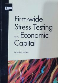 英文原版 Firm-Wide Stress Testing and Economic CapitaI