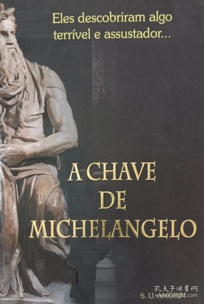 巴西葡萄牙语原版小说 米开朗琪罗的钥匙
