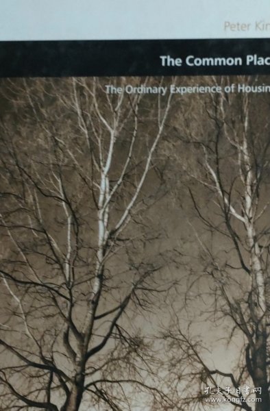 英文原版 the Common Place: the Ordinary Experience of Housing