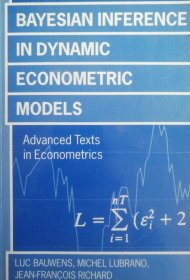 英文原版 Bayesian Inference in Dynamic Econometric Models advanced texts in econometrics