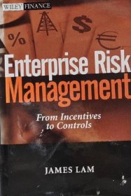 英文原版有笔迹 Enterprise Risk Management from incentives to controls