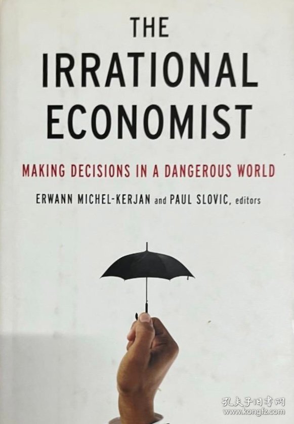 英文原版 the Irrational Economist: Making decisions in a dangerous world