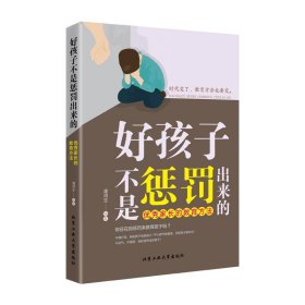 好孩子不是惩罚出来的 不是惩罚出来的家庭教育孩子的成长父母的挑战书