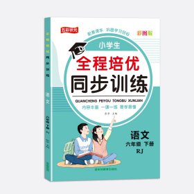 六年级下册人教版语文 小学全程培优同步训练一二三四五六年级下册语文数学英语练习册书