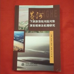 黄河下游荡性河段河势演变规律及机理研究