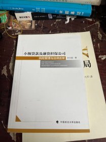 小额贷款及融资担保公司风险管理与法律监管