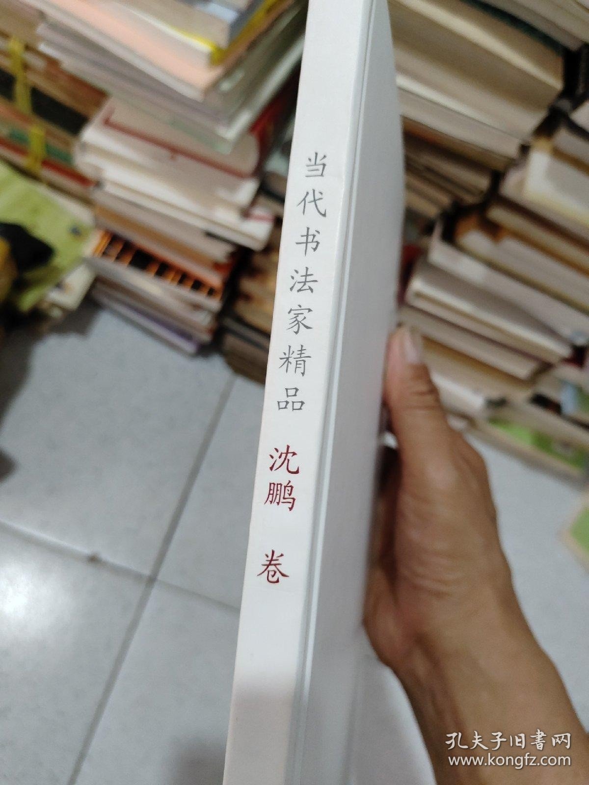 当代书法家精品 沈鹏卷